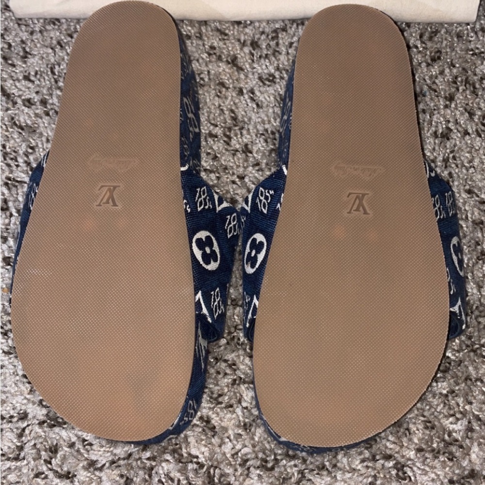 Louis Vuitton Slides (Mule)